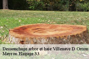 Dessouchage arbre et haie villenave-d-ornon-33140 Mayron Elagage 33