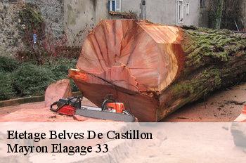 Etetage belves-de-castillon-33350 Mayron Elagage 33