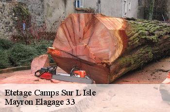 Etetage camps-sur-l-isle-33660 Mayron Elagage 33