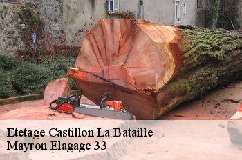 Etetage castillon-la-bataille-33350 Mayron Elagage 33