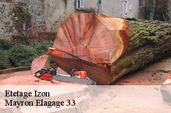 Etetage izon-33450 Mayron Elagage 33