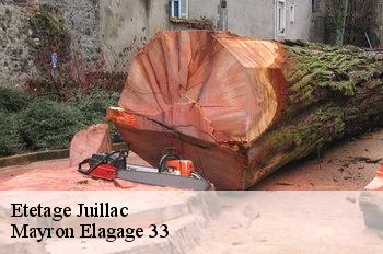 Etetage  juillac-33890 Mayron Elagage 33