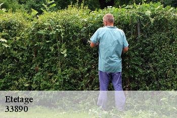 Etetage  33890