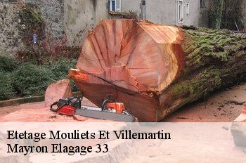 Etetage mouliets-et-villemartin-33350 Mayron Elagage 33