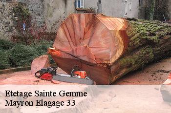 Etetage sainte-gemme-33580 Mayron Elagage 33