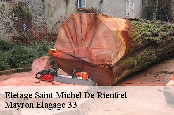 Etetage saint-michel-de-rieufret-33720 Mayron Elagage 33