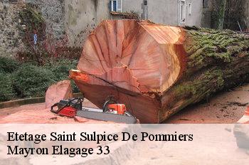Etetage saint-sulpice-de-pommiers-33540 Mayron Elagage 33