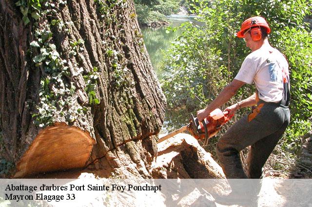 Abattage d'arbres  port-sainte-foy-ponchapt-33220 Mayron Elagage 33