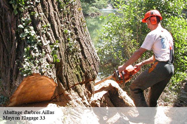 Abattage d'arbres  aillas-33124 Mayron Elagage 33
