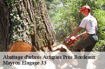 Abattage d'arbres artigues-pres-bordeaux-33370 Mayron Elagage 33