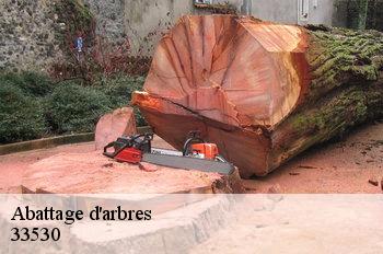 Abattage d'arbres 33530