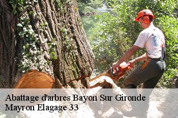 Abattage d'arbres bayon-sur-gironde-33710 Mayron Elagage 33