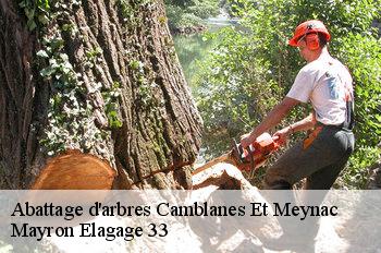Abattage d'arbres camblanes-et-meynac-33360 Mayron Elagage 33