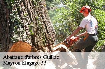 Abattage d'arbres guillac-33420 Mayron Elagage 33