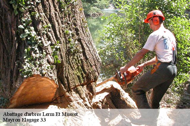 Abattage d'arbres  lerm-et-musset-33840 Mayron Elagage 33