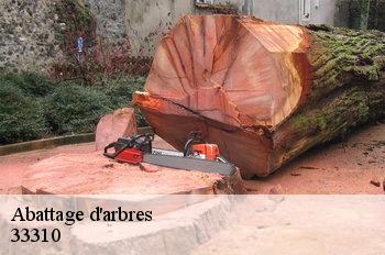 Abattage d'arbres 33310