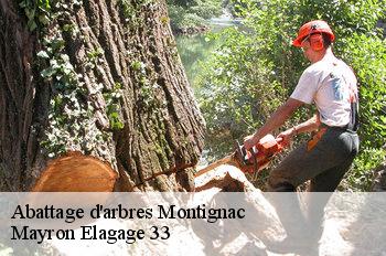 Abattage d'arbres  montignac-33760 Mayron Elagage 33