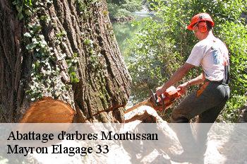 Abattage d'arbres montussan-33450 Mayron Elagage 33