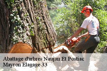 Abattage d'arbres naujan-et-postiac-33420 Mayron Elagage 33