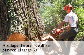 Abattage d'arbres neuffons-33580 Mayron Elagage 33
