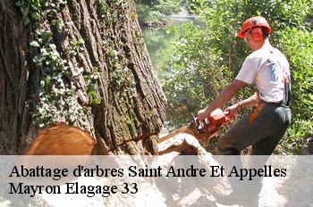 Abattage d'arbres saint-andre-et-appelles-33220 Mayron Elagage 33