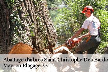 Abattage d'arbres saint-christophe-des-bardes-33330 Mayron Elagage 33