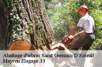 Abattage d'arbres saint-germain-d-esteuil-33340 Mayron Elagage 33
