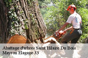Abattage d'arbres saint-hilaire-du-bois-33540 Mayron Elagage 33