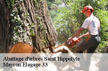 Abattage d'arbres saint-hippolyte-33330 Mayron Elagage 33