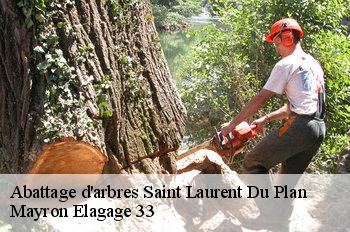 Abattage d'arbres saint-laurent-du-plan-33190 Mayron Elagage 33