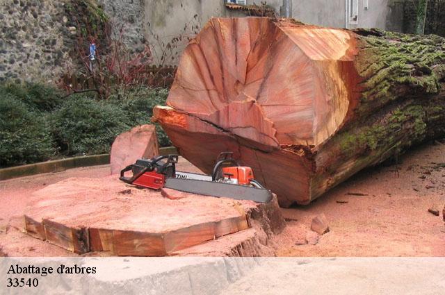 Abattage d'arbres 33540