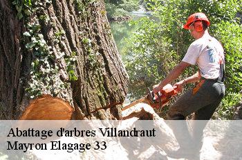 Abattage d'arbres  villandraut-33730 Mayron Elagage 33