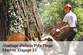 Abattage d'arbres pyla-plage-33115 Mayron Elagage 33
