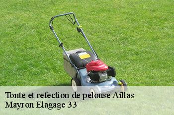 Tonte et refection de pelouse  aillas-33124 Mayron Elagage 33