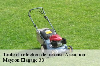 Tonte et refection de pelouse  arcachon-33120 Mayron Elagage 33