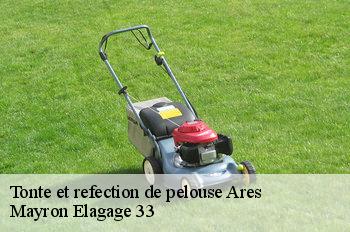 Tonte et refection de pelouse ares-33740 Mayron Elagage 33