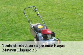 Tonte et refection de pelouse bagas-33190 Mayron Elagage 33