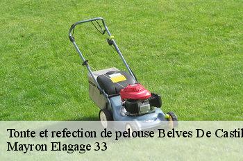 Tonte et refection de pelouse belves-de-castillon-33350 Mayron Elagage 33