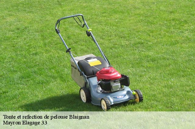 Tonte et refection de pelouse  blaignan-33340 Mayron Elagage 33