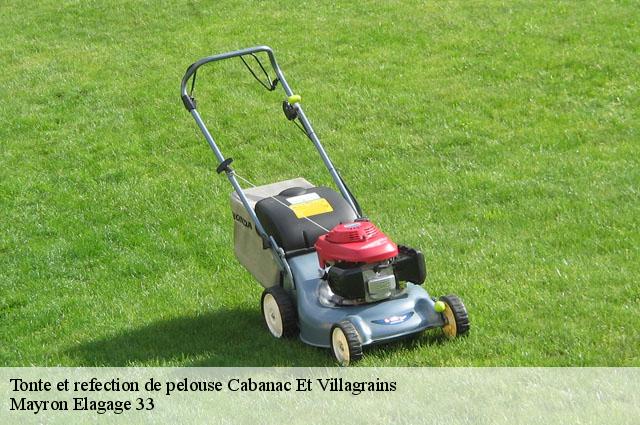 Tonte et refection de pelouse  cabanac-et-villagrains-33650 Mayron Elagage 33