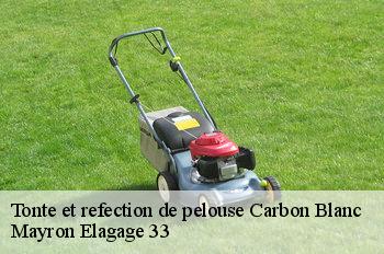 Tonte et refection de pelouse carbon-blanc-33560 Mayron Elagage 33