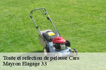 Tonte et refection de pelouse cars-33390 Mayron Elagage 33