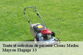 Tonte et refection de pelouse cissac-medoc-33250 Mayron Elagage 33