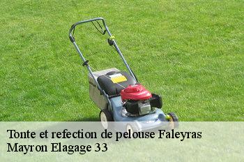 Tonte et refection de pelouse faleyras-33760 Mayron Elagage 33
