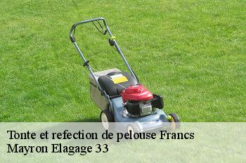 Tonte et refection de pelouse francs-33570 Mayron Elagage 33