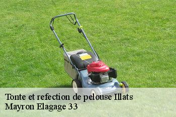 Tonte et refection de pelouse illats-33720 Mayron Elagage 33