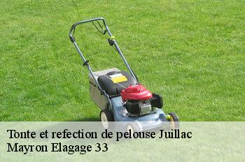 Tonte et refection de pelouse  juillac-33890 Mayron Elagage 33