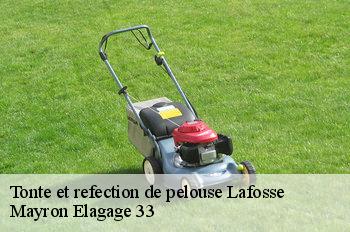 Tonte et refection de pelouse lafosse-33710 Mayron Elagage 33