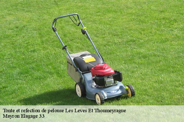 Tonte et refection de pelouse les-leves-et-thoumeyrague-33220 Mayron Elagage 33