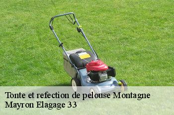 Tonte et refection de pelouse  montagne-33570 Mayron Elagage 33